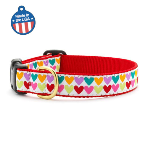 Pop Hearts Collar or Leash