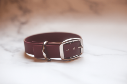 Biothane Buckle Dog Collar (Color: lavender, size: Medium/Large 14-16 inches)