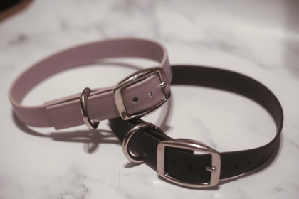 Biothane Buckle Dog Collar (Color: lavender, size: Large/XL 16-18 inches)