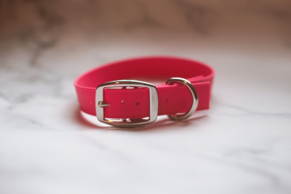 Biothane Buckle Dog Collar (Color: Red, size: XL/XXL 18-20 inches)