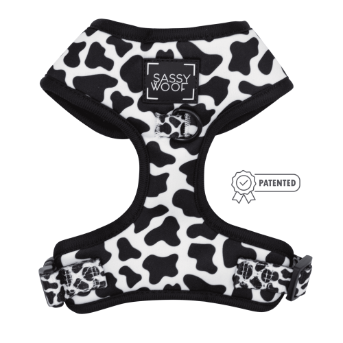Adjustable Harness