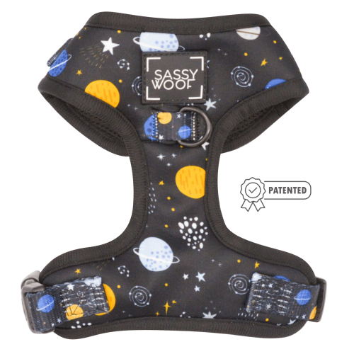 Adjustable Harness