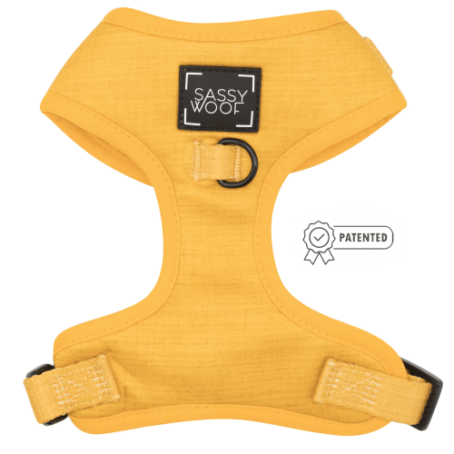 Adjustable Harness