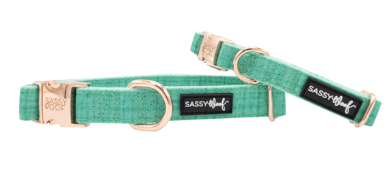 Collar (Color: Teal, size: medium)