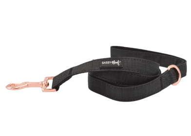 Leash (Color: Black, size: one size)