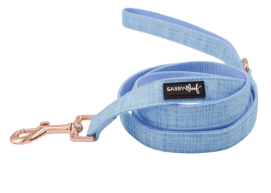 Leash (Color: Blue, size: one size)