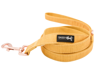 Leash (Color: Yellow, size: one size)