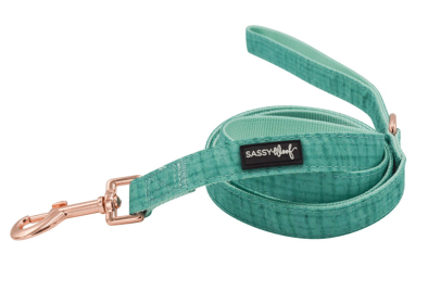 Leash (Color: Teal, size: one size)