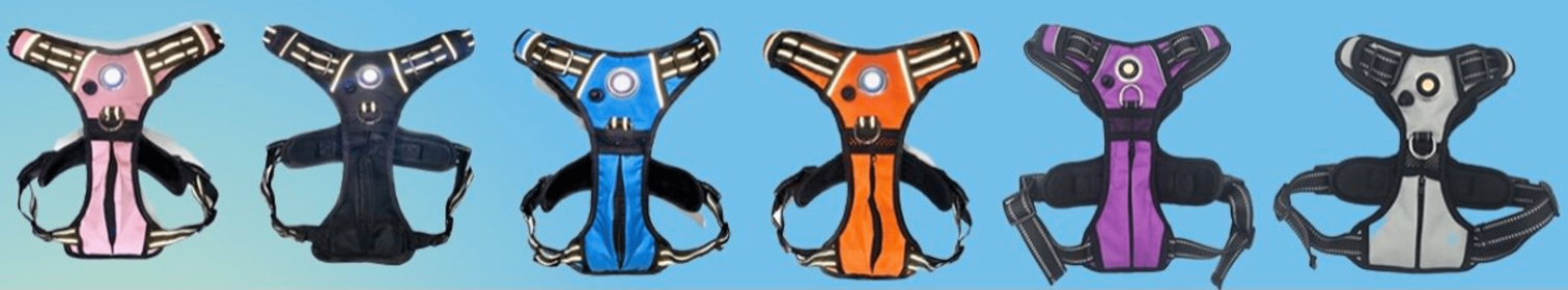 Headlight Harness, Dog Harness with Built In LED Light (Color: Grey, size: medium)