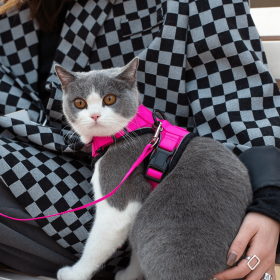 Mr. Peanut's PurrTrek Reflective Cat Harness with Matching Leash (Color: Pink, size: X Small)