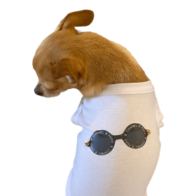 My Summer CC Sunnies (size: X Large)