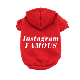IG Famous Hoodie (Color: Red, size: X Small)