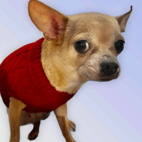 Knit Turtleneck Dog Sweater (Color: Wine Red, size: large)