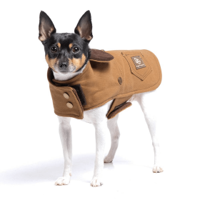 DCNY Canyon Working Coat (size: LGColor)