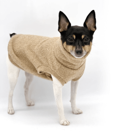 DCNY Cafe Latte Sweater (size: XXS)