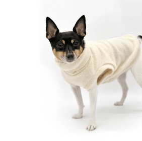 DCNY Dulce de Leche Sweater (size: MD)