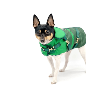"Green with Envy" - DCNY Equestrian Collection (size: SM)