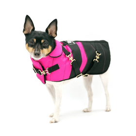 "Fun with Fuschia" - DCNY Equestrian Collection (size: MD)
