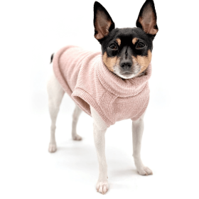 DCNY Pretty In Pink Sweater (size: SM)