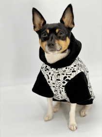 DCNY: Iconic "Pup Art" Designer Dog Hoodie (size: XXS)