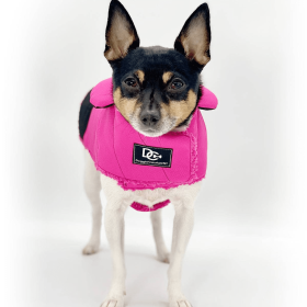 DoggieCoutureNY Water Resistant Coat (size: LGColor)