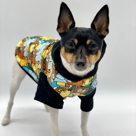 DCNY Day At The Zoo Hoodie - Limited Edition (size: MD)