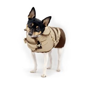 "Classic Mocha Latte" - DCNY Equestrian Collection (size: XXS)