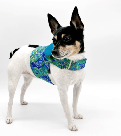 DCNY "Pretty in Paisley" Vest-Style Harness (size: X-Small)
