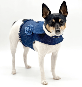 DCNY Harness Vest (size: SMColor)