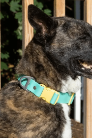 Island Vibes Waterproof Dog Collar (size: 15 - 17 inch)