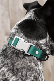 Siberian Spruce Waterproof Dog Collar (size: 15 - 17 inch)