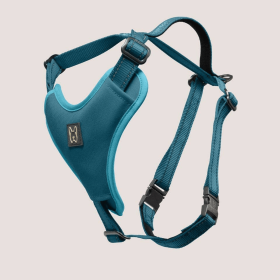 NANDOG Neoprene Sport Dog Harness (Color: Blue, size: small)