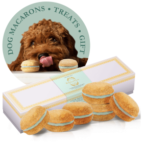 Dog Macarons - Box of 6 (Available in 12 Flavors) (Flavor: Mint)