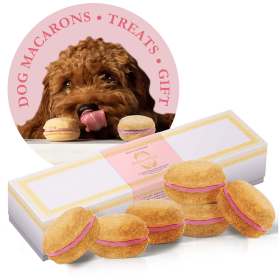 Dog Macarons - Box of 6 (Available in 12 Flavors) (Flavor: Strawberry)